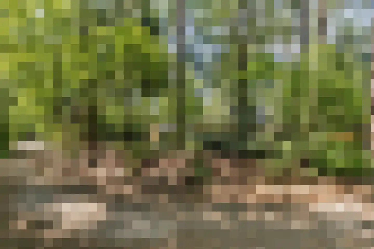 Bungalowpark 42 Doldersum thumbnail 37