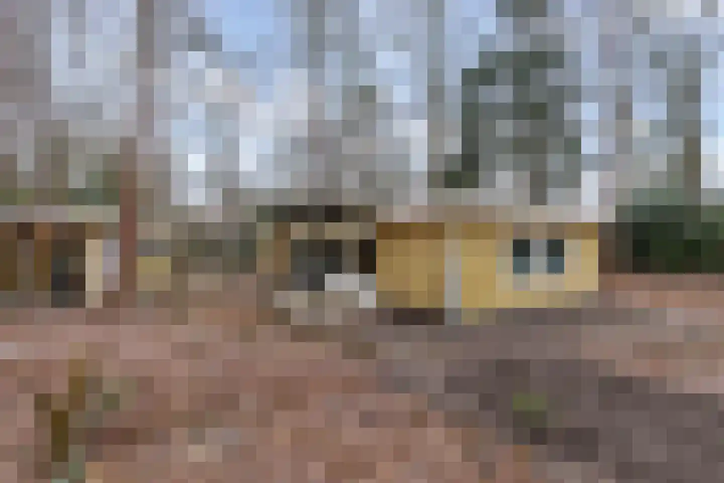 Bungalowpark 42 Doldersum thumbnail 37