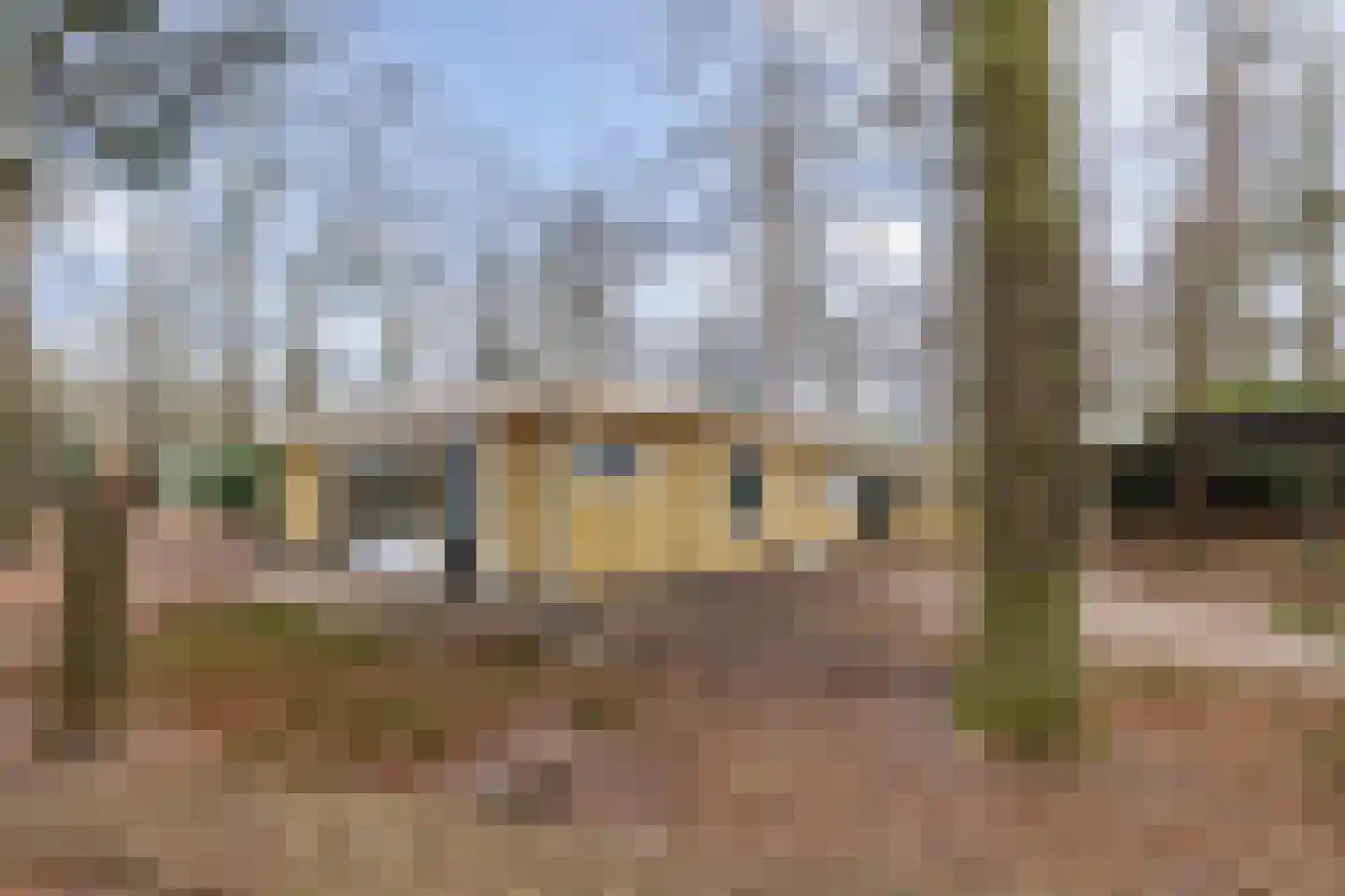 Bungalowpark 42 Doldersum thumbnail 4