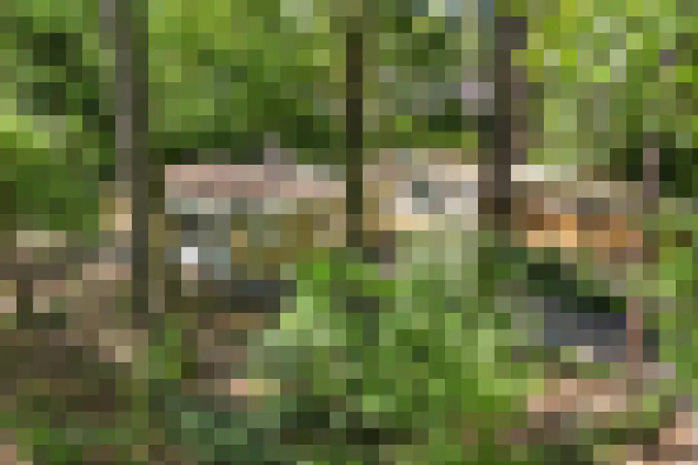 Bungalowpark 42 Doldersum thumbnail 40