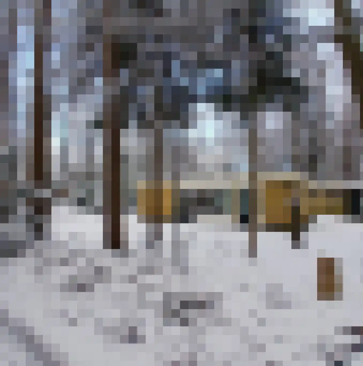 Bungalowpark 42 Doldersum thumbnail 49