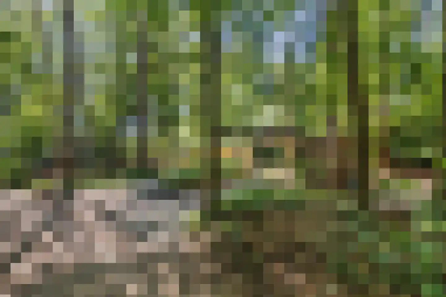 Bungalowpark 42 Doldersum thumbnail 5