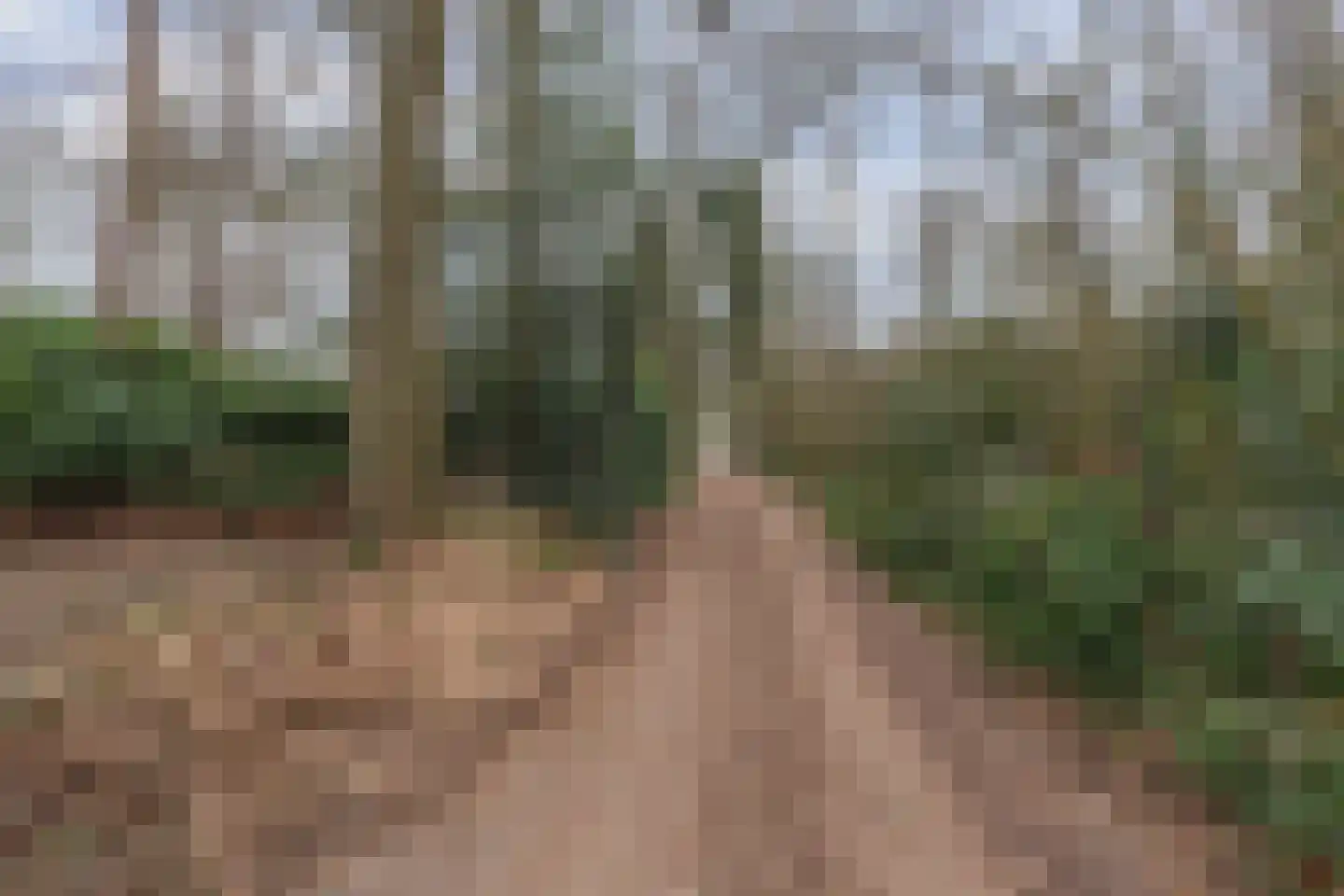 Bungalowpark 42 Doldersum thumbnail 7