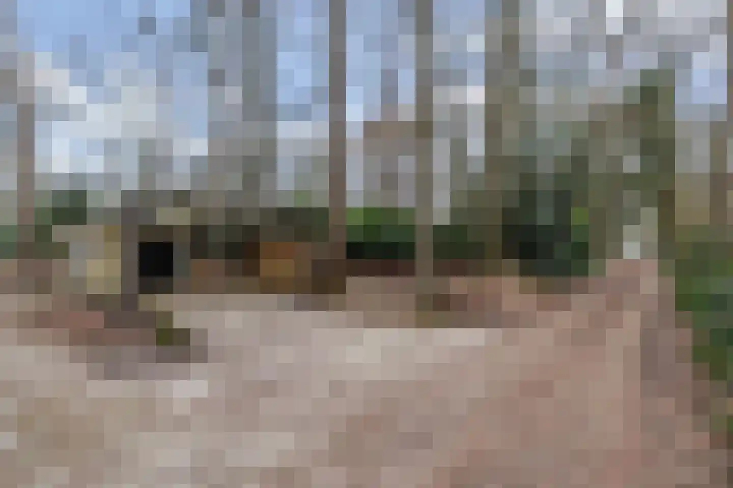 Bungalowpark 42 Doldersum thumbnail 8