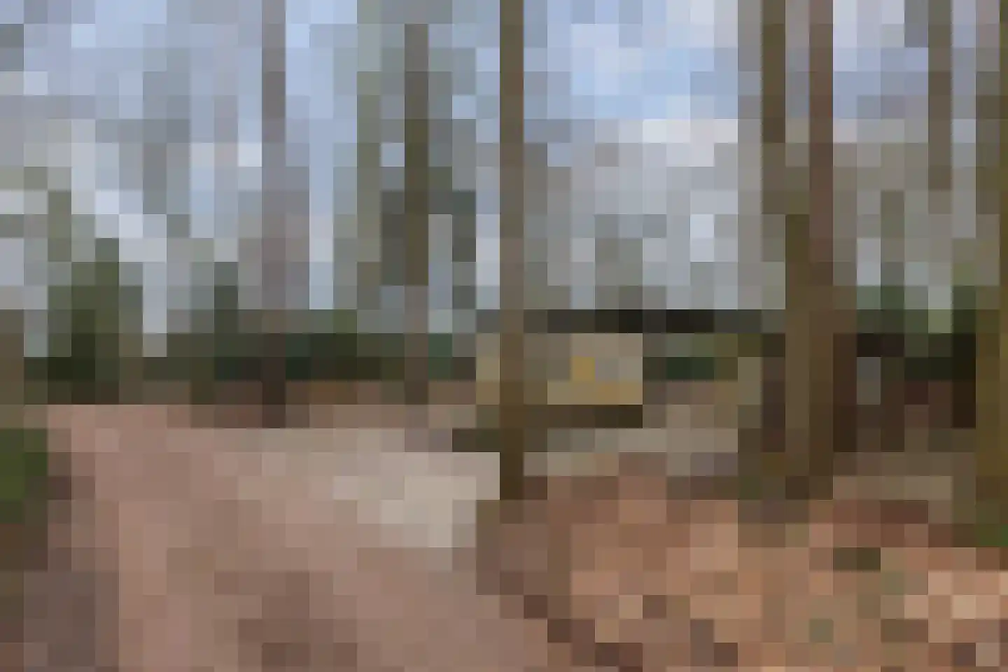 Bungalowpark 42 Doldersum thumbnail 9