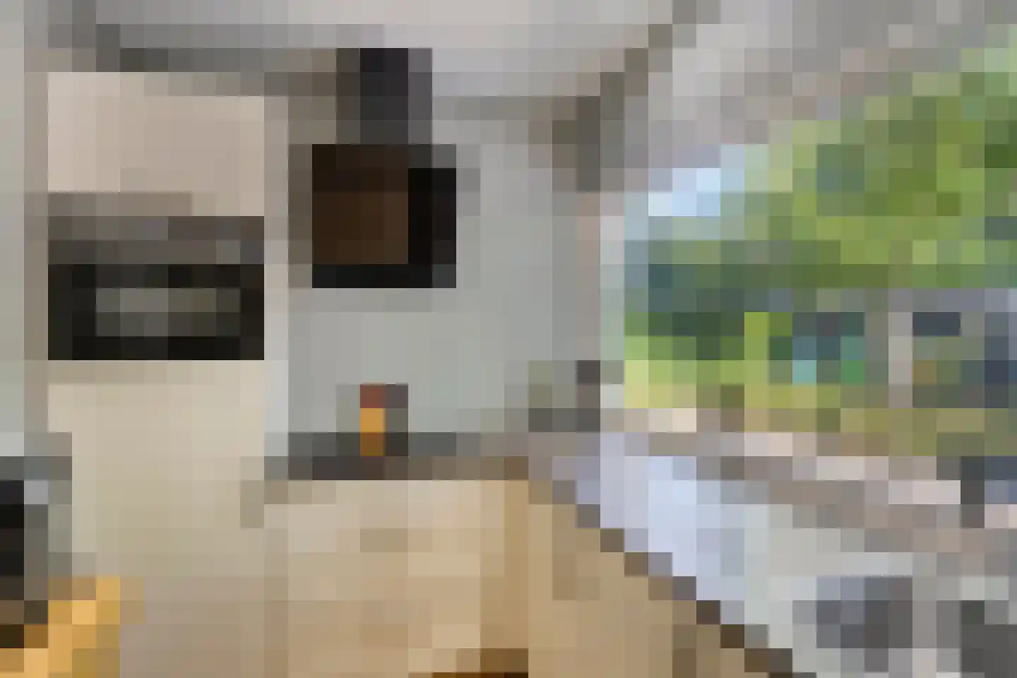 Bungalowpark Rothenbach 16 Vlodrop thumbnail 11