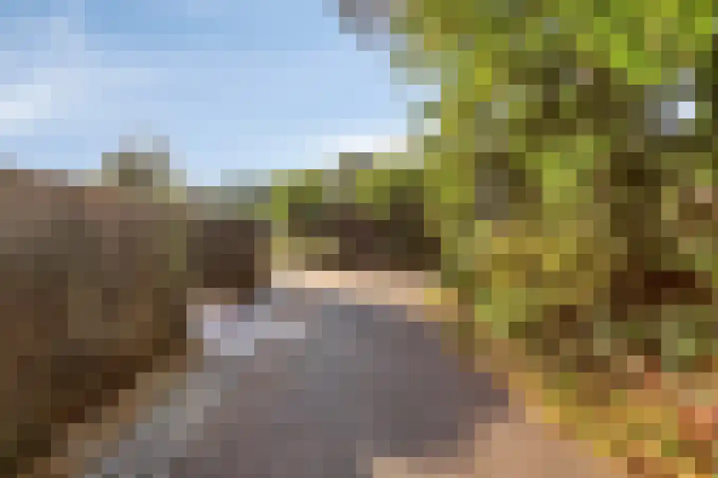 Bungalowpark Rothenbach 16 Vlodrop thumbnail 26