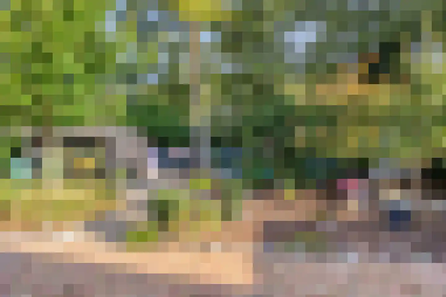 Bungalowpark Rothenbach 16 Vlodrop foto 3