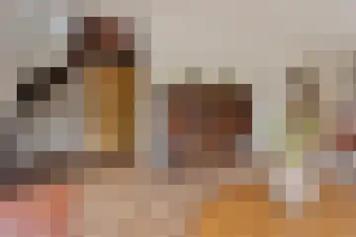 Bungalowpark Rothenbach 35 Vlodrop thumbnail 17