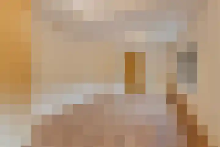 Bungalowpark Rothenbach 35 Vlodrop thumbnail 19