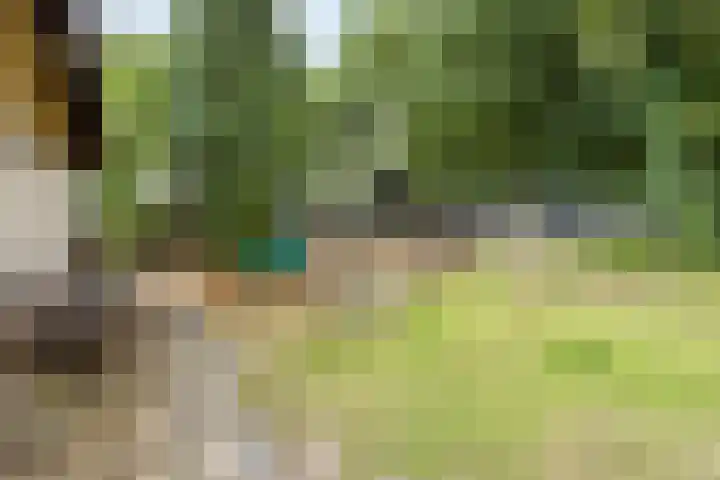 Bungalowpark Rothenbach 35 Vlodrop thumbnail 26