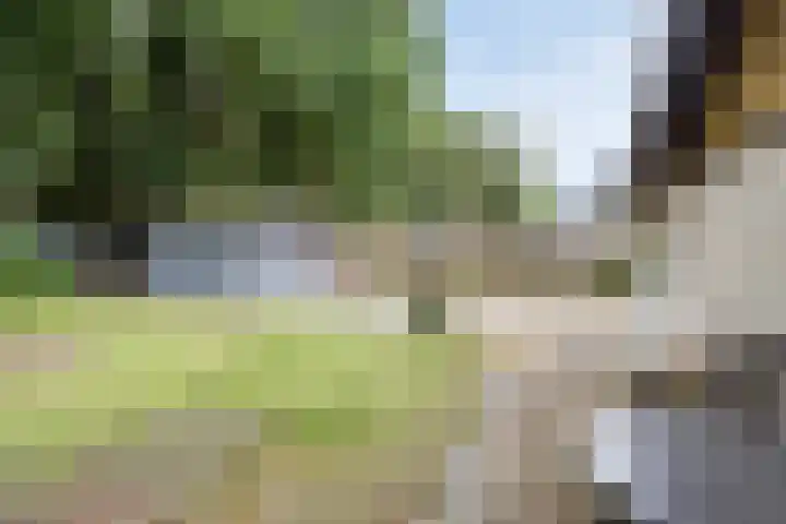 Bungalowpark Rothenbach 35 Vlodrop thumbnail 27