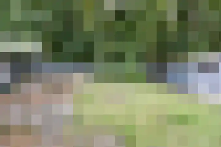 Bungalowpark Rothenbach 35 Vlodrop thumbnail 28