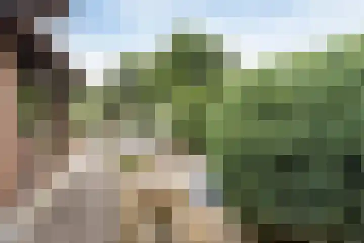 Bungalowpark Rothenbach 35 Vlodrop thumbnail 30