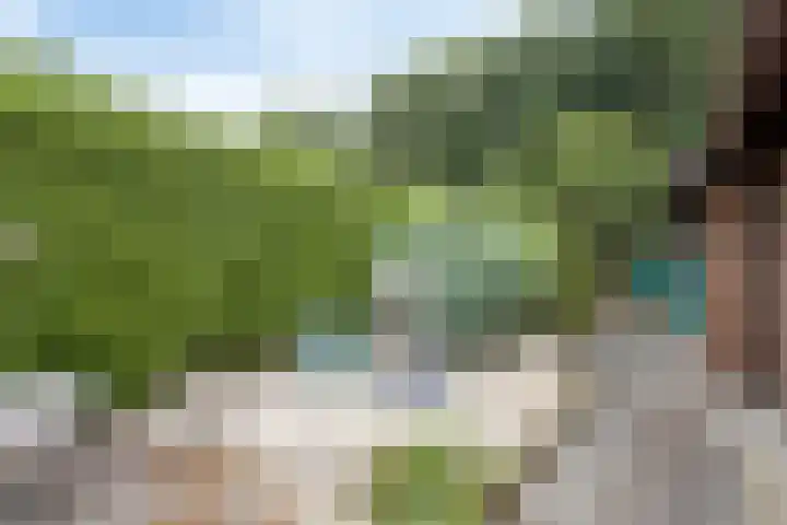 Bungalowpark Rothenbach 35 Vlodrop thumbnail 31
