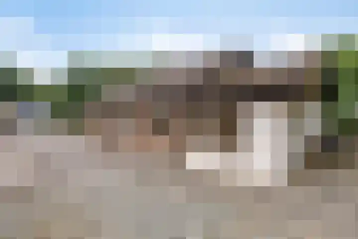 Bungalowpark Rothenbach 35 Vlodrop thumbnail 33
