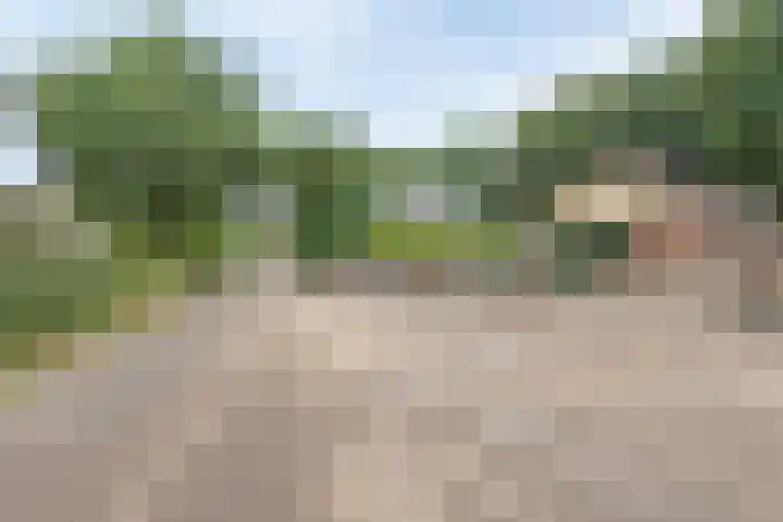 Bungalowpark Rothenbach 35 Vlodrop thumbnail 34