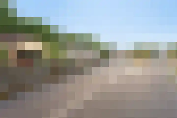 Bungalowpark Rothenbach 35 Vlodrop thumbnail 35