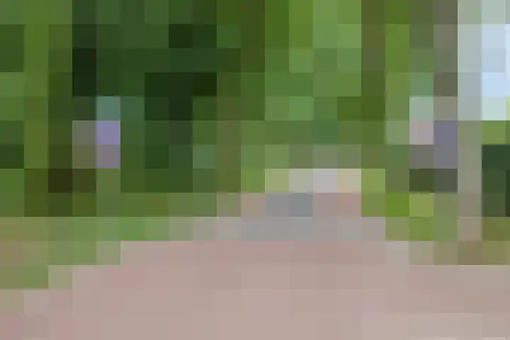 Bungalowpark Rothenbach 35 Vlodrop thumbnail 38