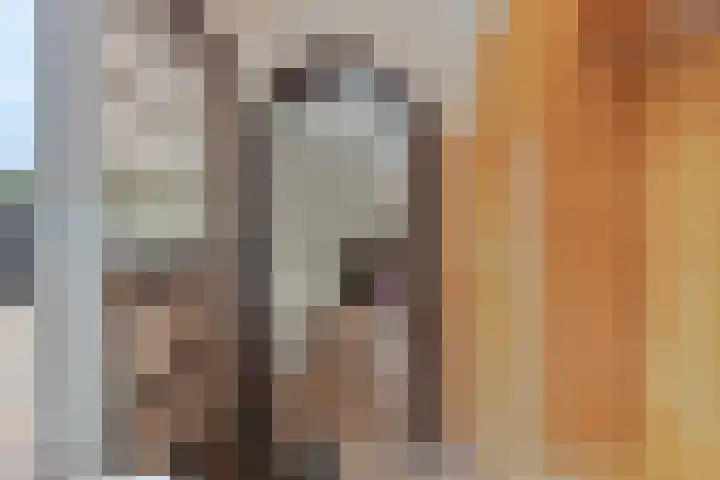 Bungalowpark Rothenbach 35 Vlodrop thumbnail 5