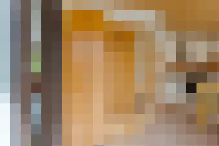Bungalowpark Rothenbach 35 Vlodrop thumbnail 6