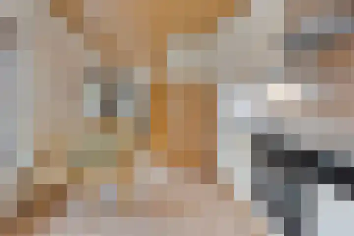 Bungalowpark Rothenbach 35 Vlodrop thumbnail 9