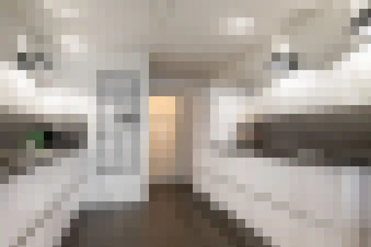 Bungestraat 9 Landgraaf thumbnail 8