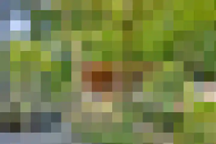 Bungweg 2 Landgraaf thumbnail 16
