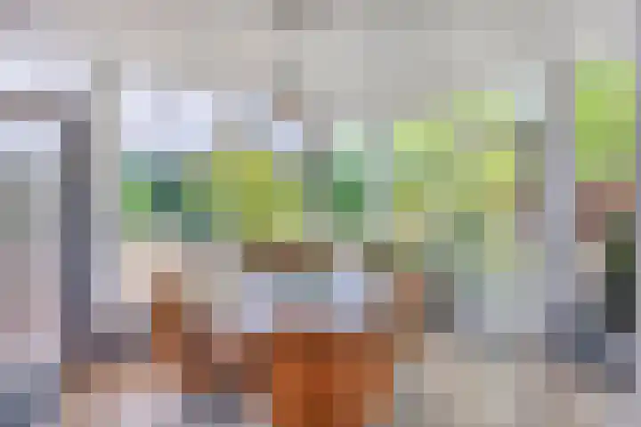 Bungweg 2 Landgraaf thumbnail 24