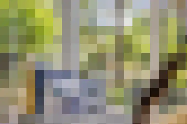 Bungweg 2 Landgraaf thumbnail 28