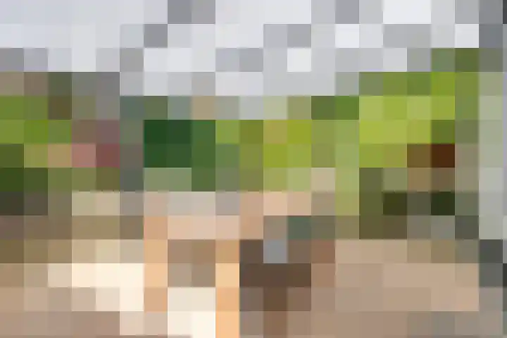 Bungweg 2 Landgraaf thumbnail 36