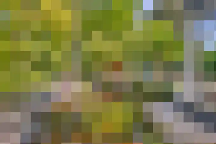 Bungweg 2 Landgraaf thumbnail 38