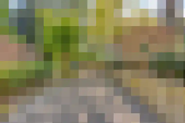 Bungweg 2 Landgraaf thumbnail 42
