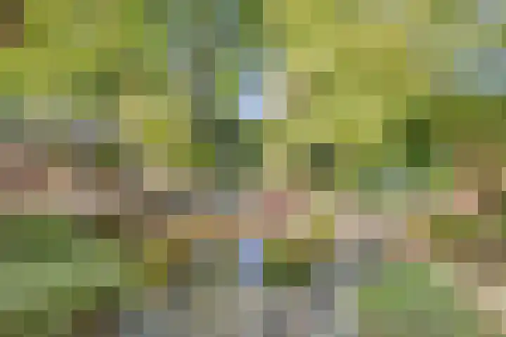 Bungweg 2 Landgraaf thumbnail 43