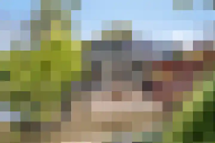 Bungweg 2 Landgraaf thumbnail 46