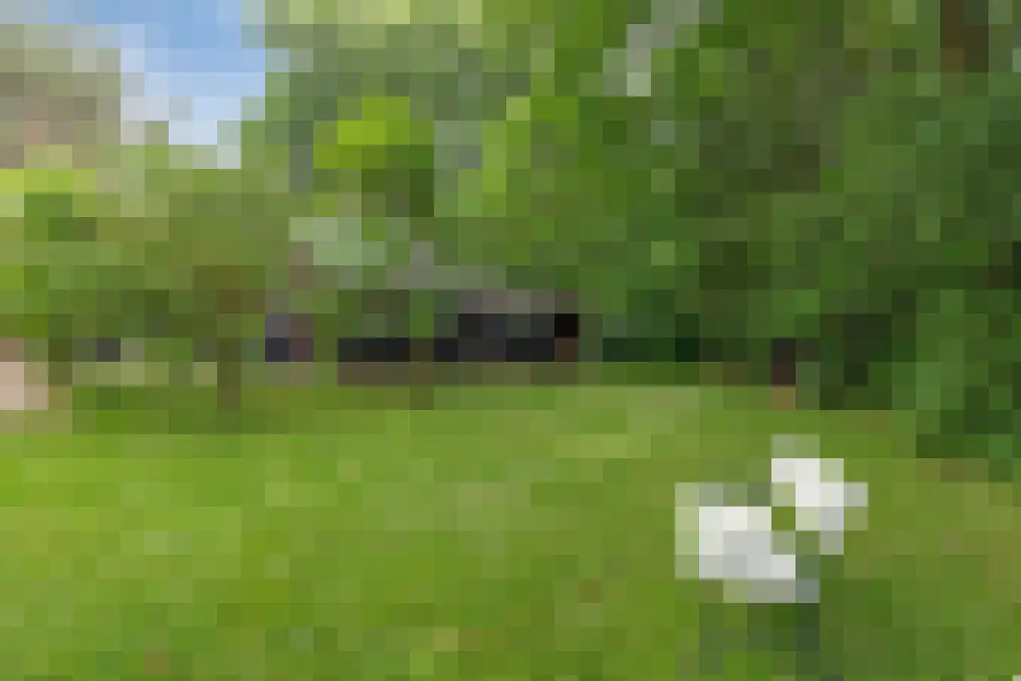Buninkdijk 2 A Aalten thumbnail 19