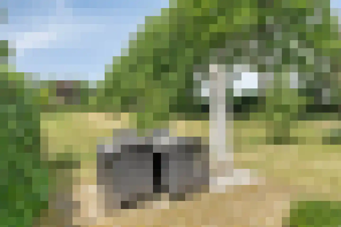 Buninkdijk 2 Aalten thumbnail 10