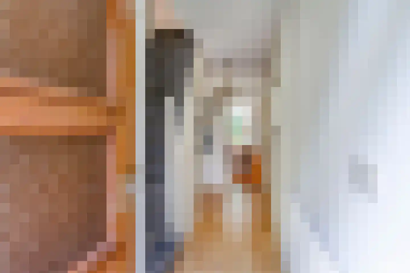 Buninkdijk 2 Aalten thumbnail 12
