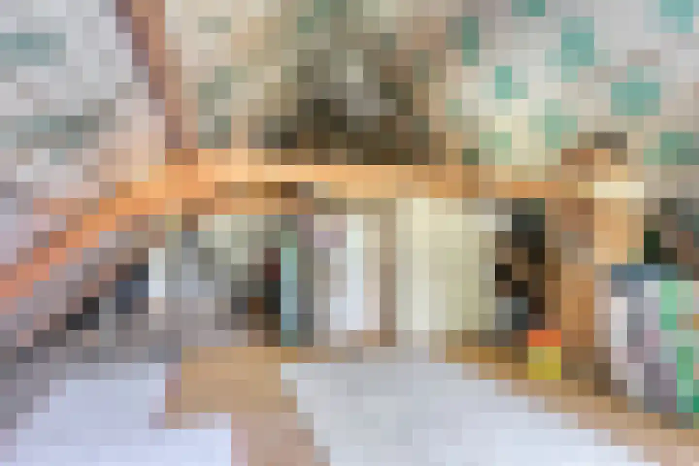 Buninkdijk 2 Aalten thumbnail 38
