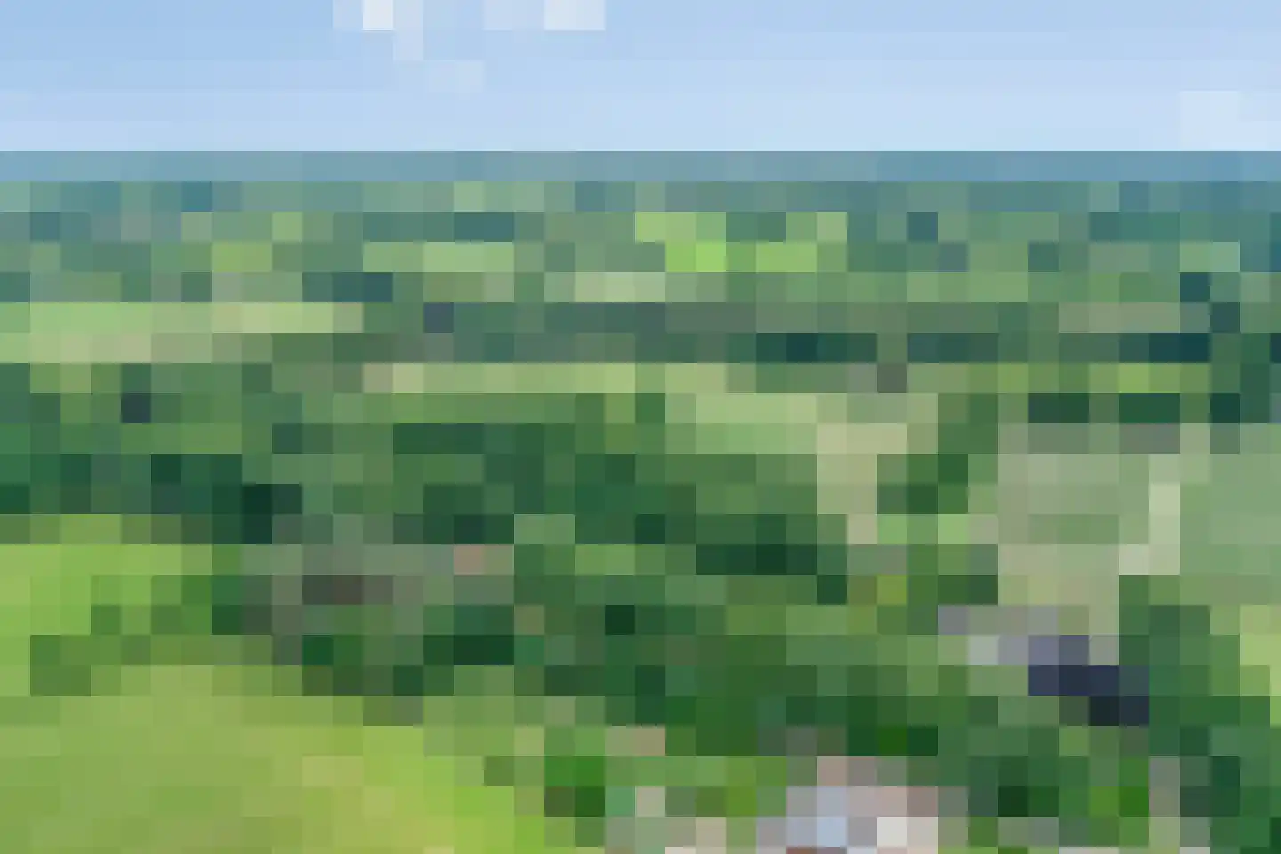 Buninkdijk 2 Aalten thumbnail 6