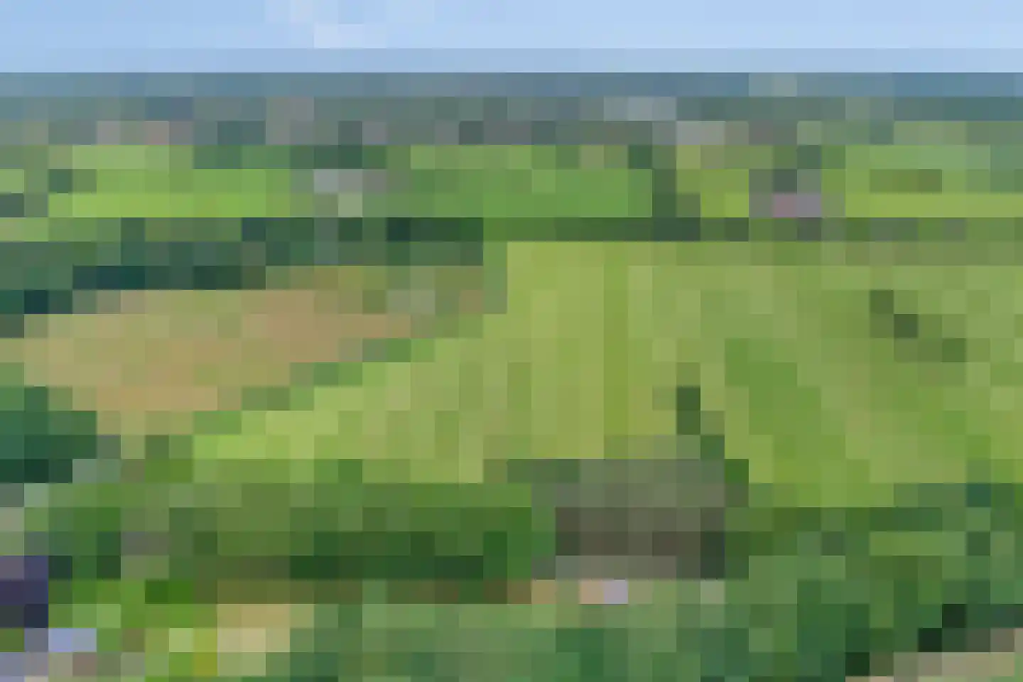 Buninkdijk 2 Aalten thumbnail 7