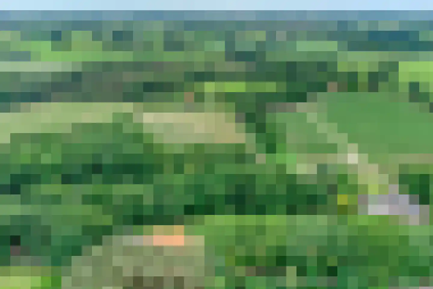 Buninkdijk 2 Aalten thumbnail 8