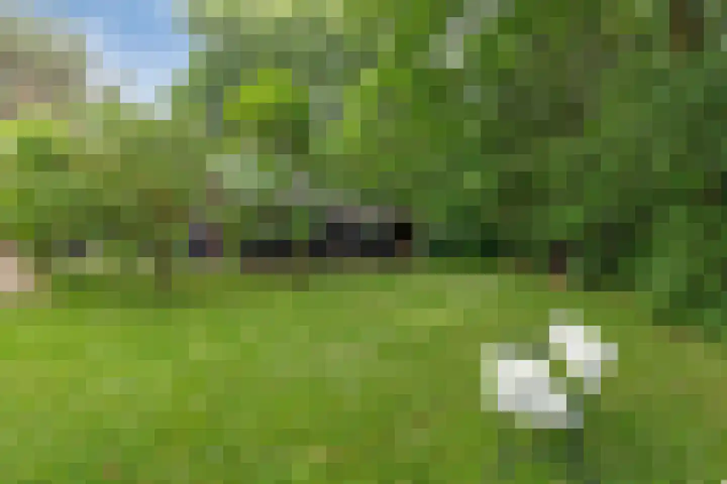 Buninkdijk 2 Aalten thumbnail 9
