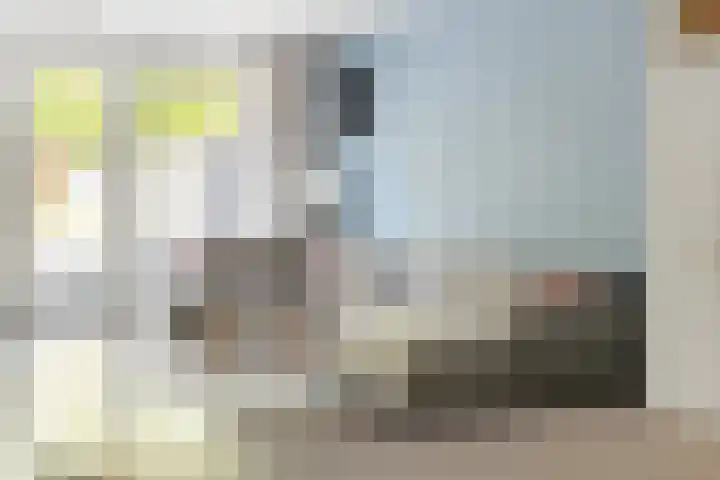Bunnemaheerd 110 Groningen thumbnail 11