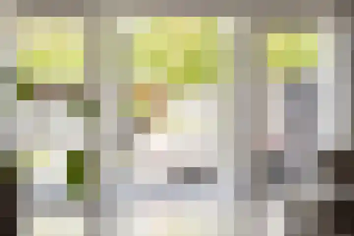 Bunnemaheerd 110 Groningen thumbnail 12