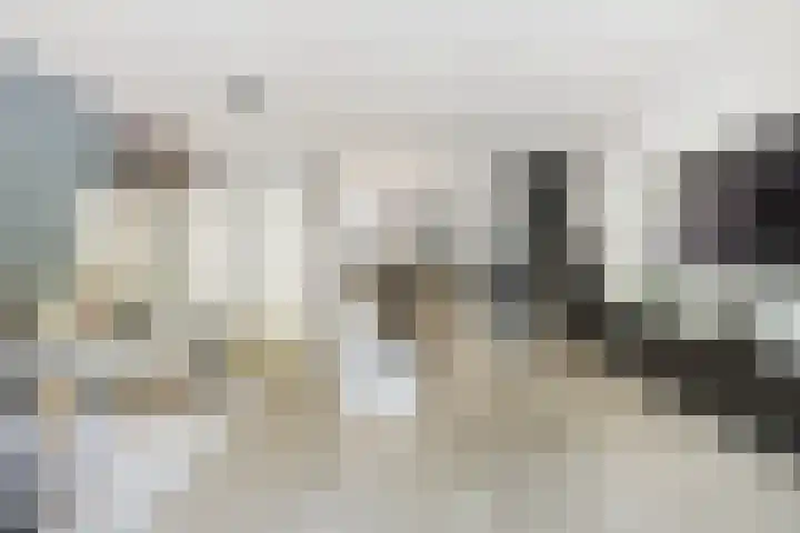Bunnemaheerd 110 Groningen thumbnail 15