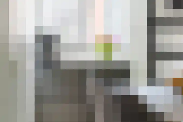 Bunnemaheerd 110 Groningen thumbnail 17