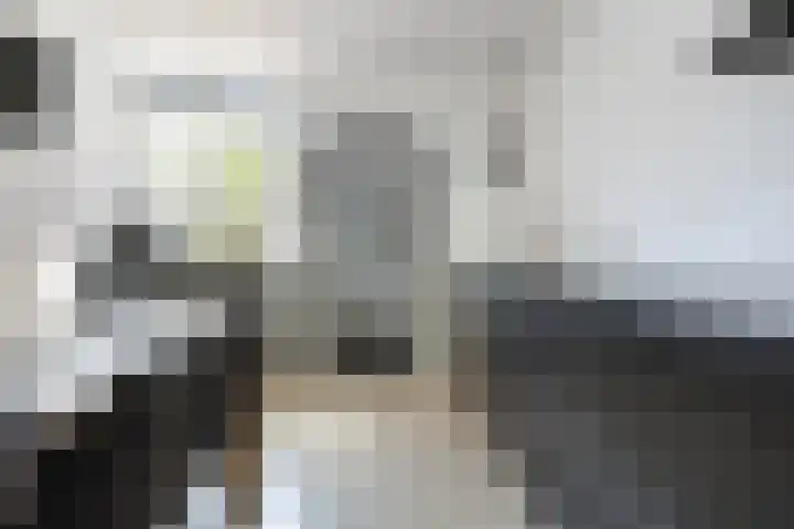 Bunnemaheerd 110 Groningen thumbnail 18