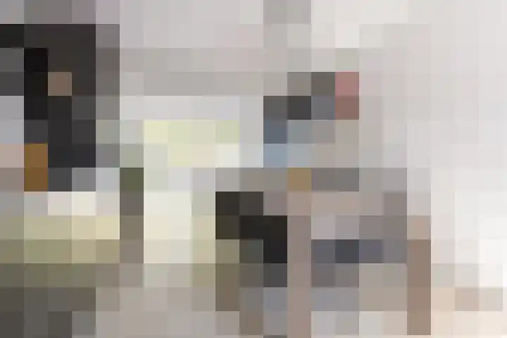 Bunnemaheerd 110 Groningen thumbnail 21