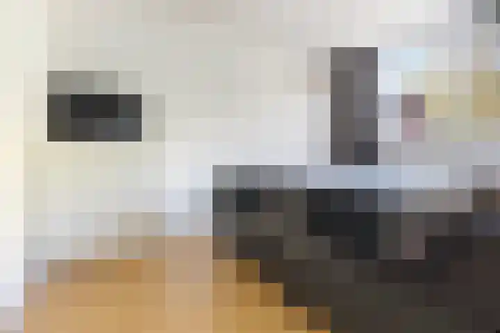 Bunnemaheerd 110 Groningen thumbnail 24